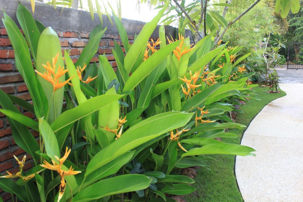 Albany Home Stay Kuta  Екстериор снимка